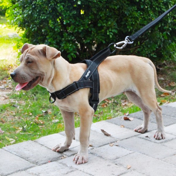 Easy-fit Adjustable No Pull Dog Harness Reflective easy on & off