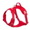 red-dog-harness
