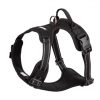black-dog-harness
