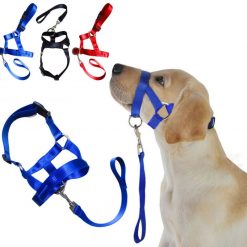 best dog leash to stop pulling