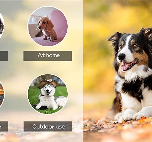 dog cooling mat usages