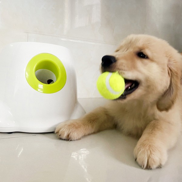 best Automatic Tennis Ball Launcher thrower