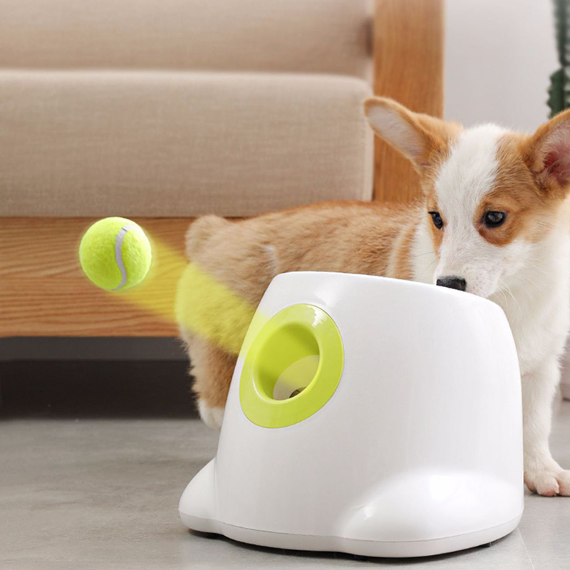 Automatic Ball Thrower Launcher for Dogs Mini Tennis Ball Juhi