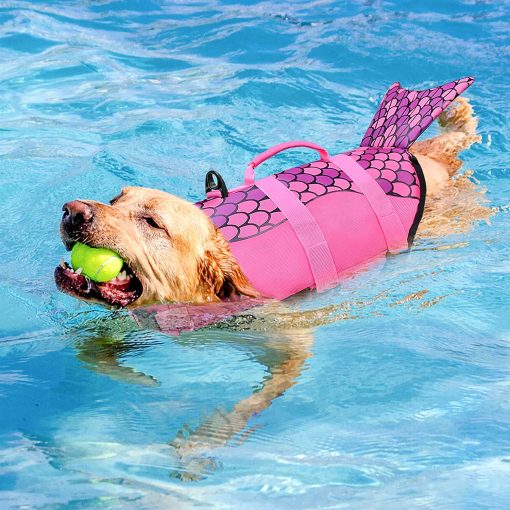 best dog life jacket vest for summer water activities