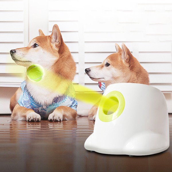 best Automatic Tennis Ball Launcher thrower