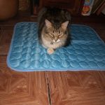 cat cooling mat uk for summer self cooling mat for cat