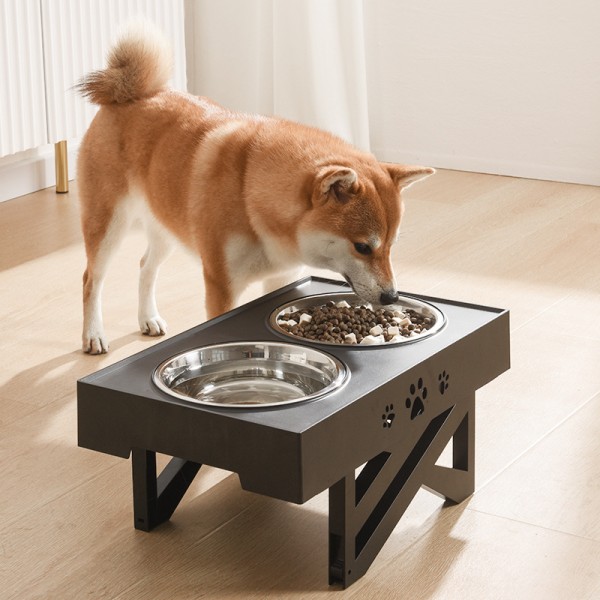 Double Raised Dogs Bowls Elevated Food Water Feeders Bowls