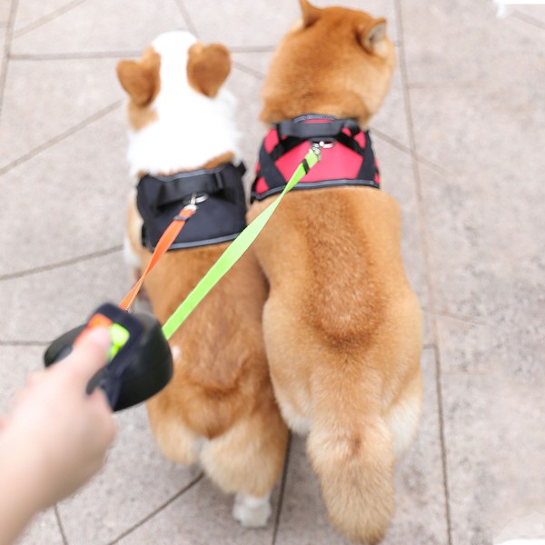 Double Retractable Dog Lead 360 Degree Rotating