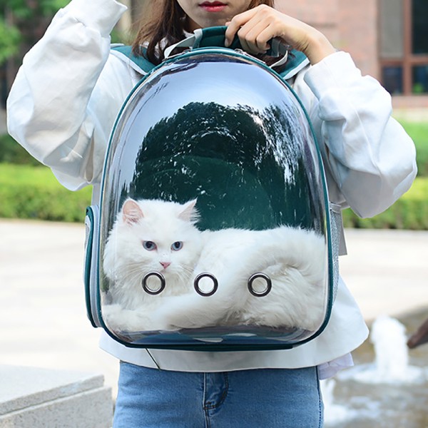 Outdoor Cat Carrier Bag Backpack Breathable Portable Travel Transparent