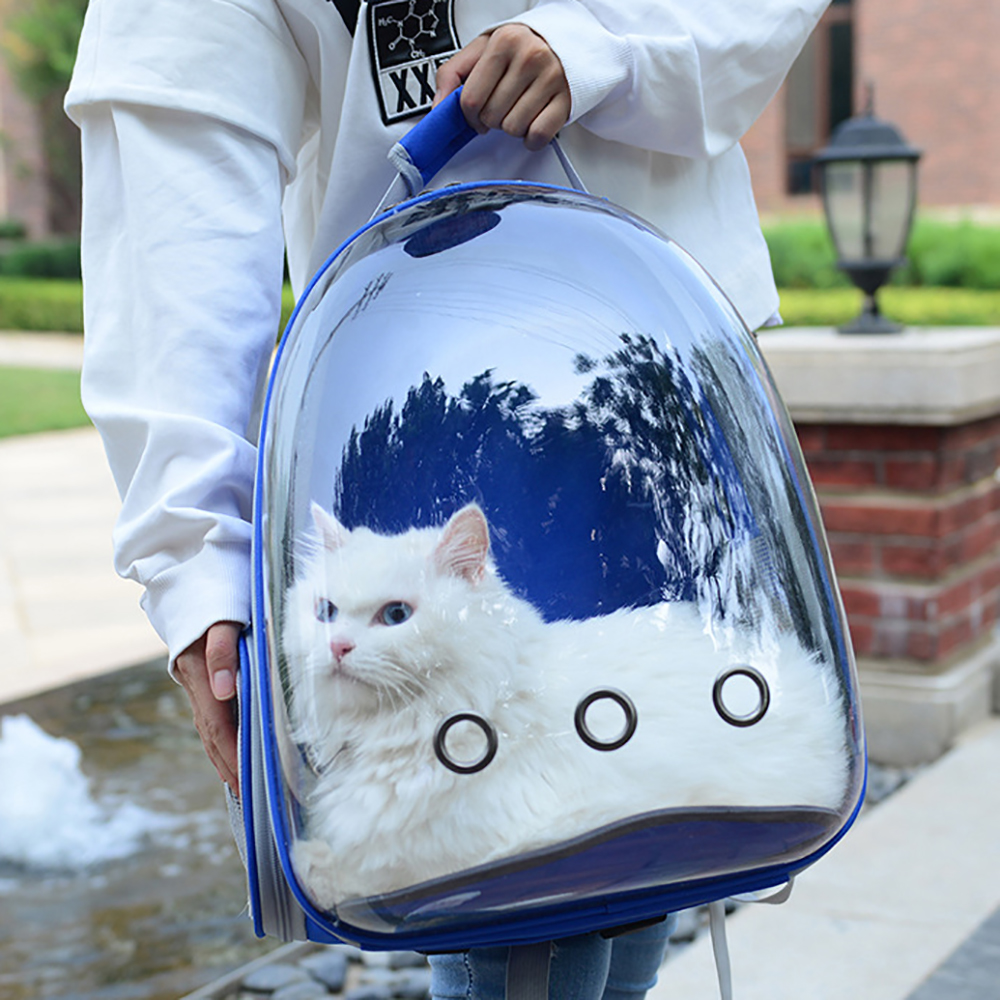 Cat hot sale backpack transparent