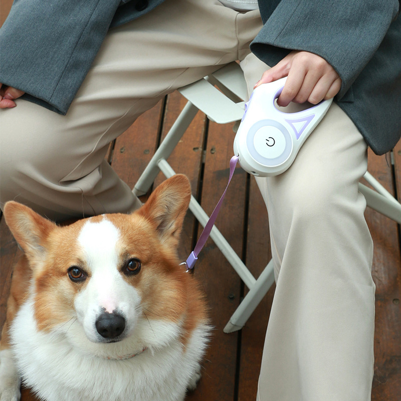 retractable dog leads 