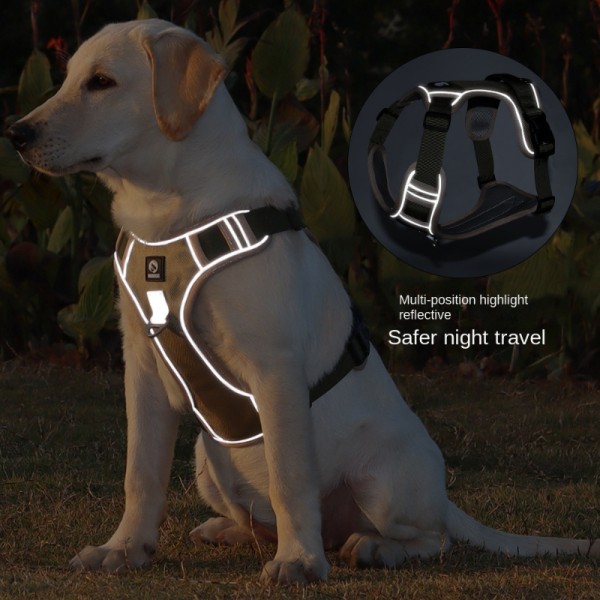 No Pull Dog Harness UK