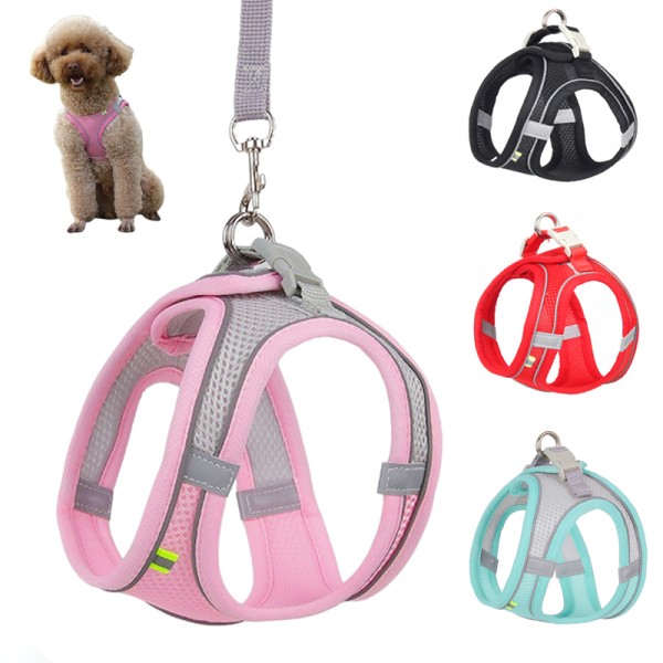 Simple Step in Dog Harness & Leash set for Small Dogs