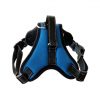 blue-dog-harness