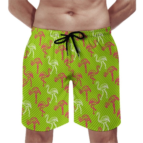 Flamingo Bird Green and Pink Striped Swimming Trunks Males