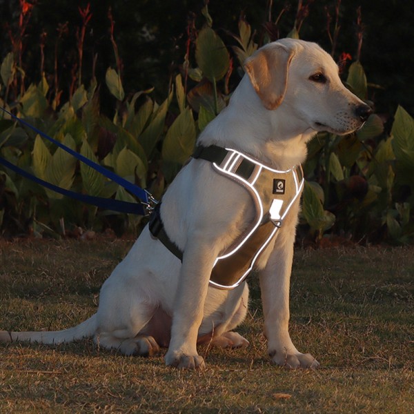 premium step in dog harness uk