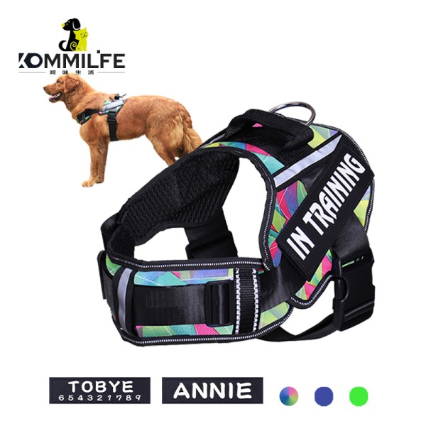 In-Training Adjustable Nylon Dog Harness