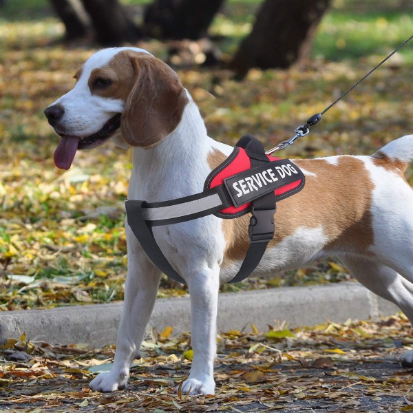 Large Service Dog Harness No-Pull Reflective Emotional Support Therapy Dog