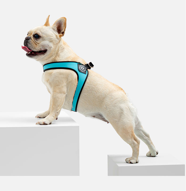 Stunt cheap puppy harness