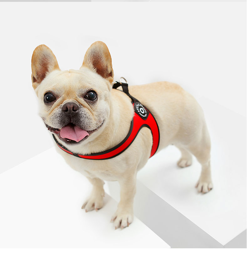 Stunt store puppy harness