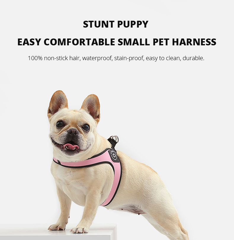 Stunt sales puppy harness