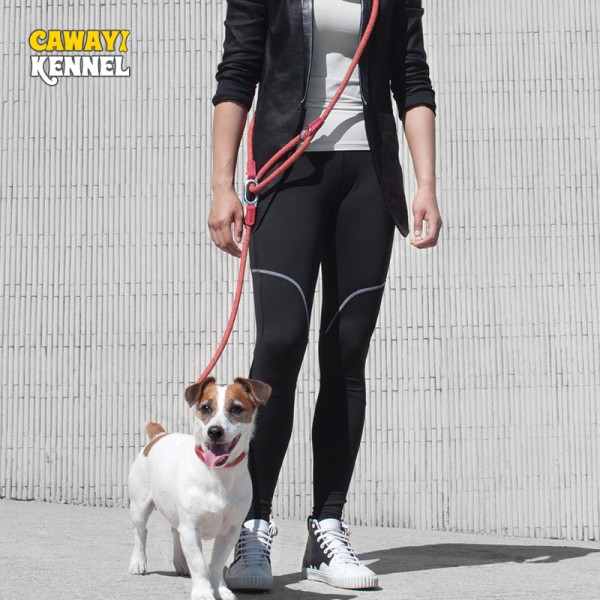 Stylish Reflective Nylon Dog Hands Free Leash for Running
