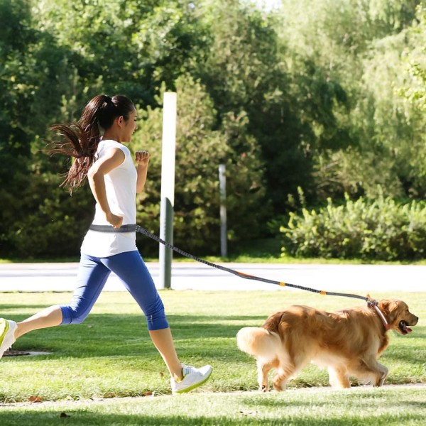 Hands Free Dog Leads UK