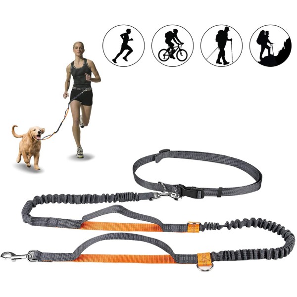 Hands Free Dog Leash for Outdoor Activities