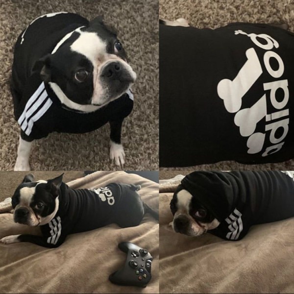 Premium Adidog Hoodies for All Dogs