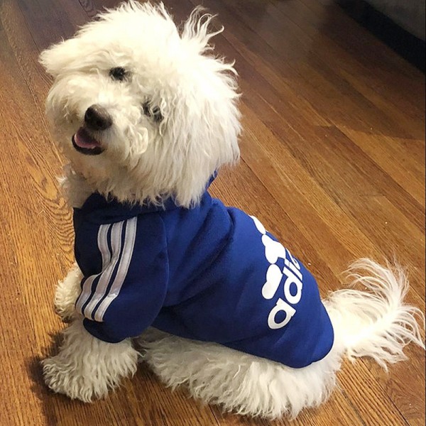 Premium Adidog Hoodies for All Dogs