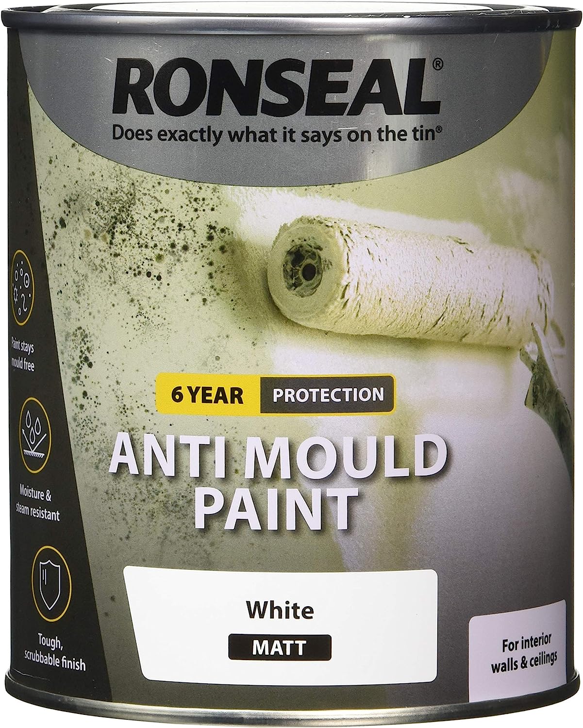 RONSEAL AMPWM750 Anti Mould Paint 