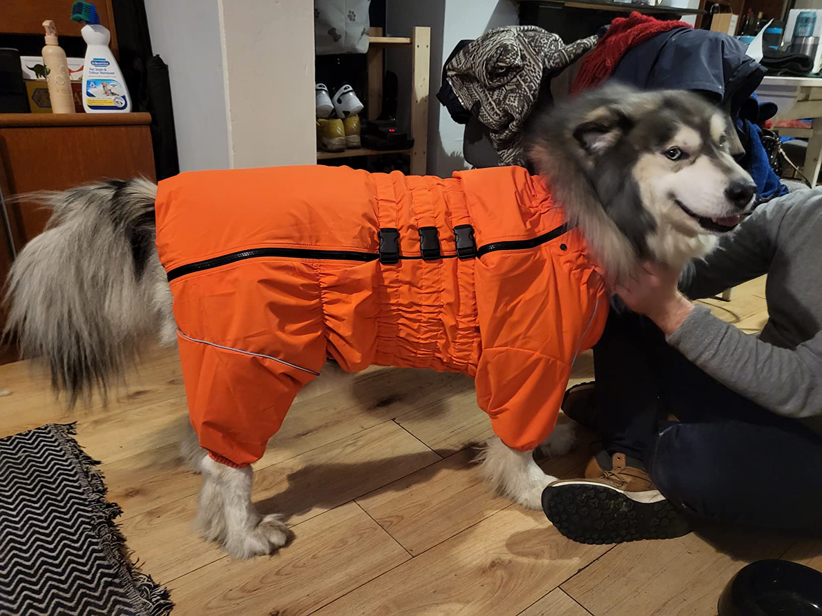 A. Waterproof Leg Covering Rain Jacket for Dogs