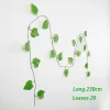 Grape leaves-202884863