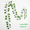 Begonia leaves-200006152