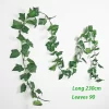 Grape leaves-200004889