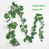 Begonia leaves-200004870