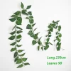 Scindapsus leaves-200003699