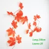 Grape leaves-202419806