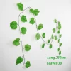 Grape leaves-202418806