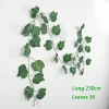 Grape leaves-202135822