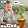 Talking Cactus Toy UK Dancing Copying Repeating Singing