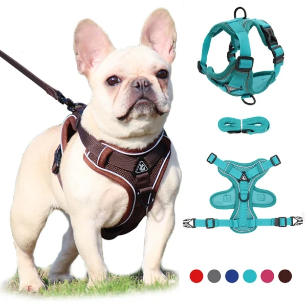 Y Shaped Dog Harness
