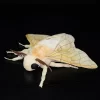 Silk Moth Plush UK Lifelike