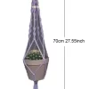 purple-70cm