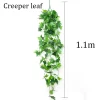 creeper-leaf