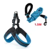 blue-1-5m-leash