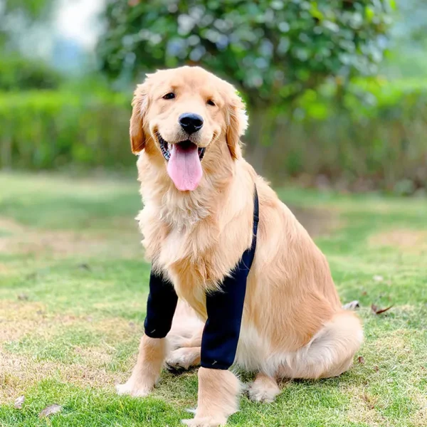 Anti-Lick Dog Elbow Sleeve Brace Protector