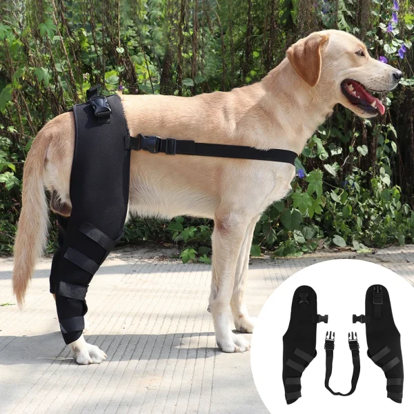 Dog Back Leg Brace Support