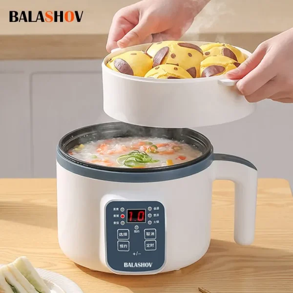 Double Layer Electric Rice Cooker 220V