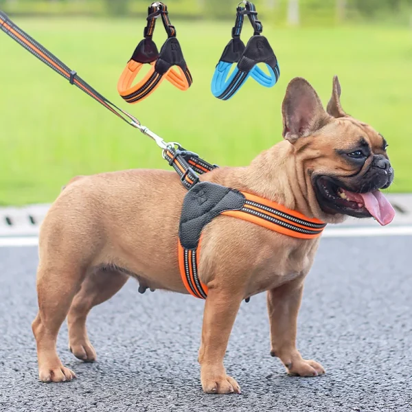 Cozy Mesh Reflective Harness & Leash Set